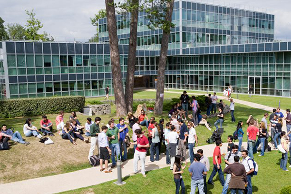 insead
