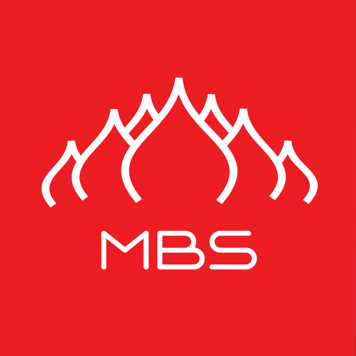 Mocsow Business School