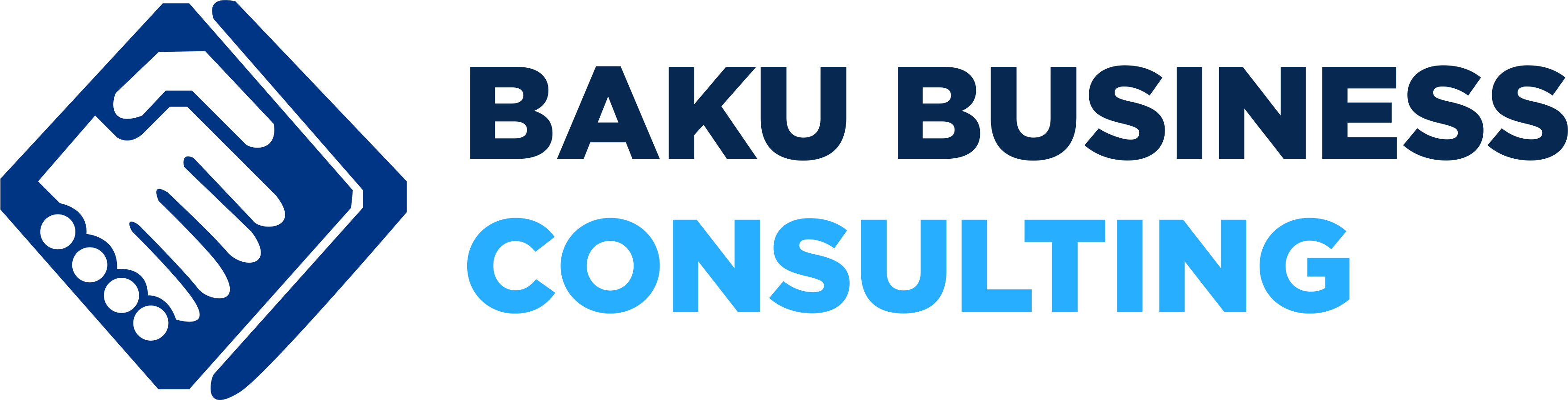 Baku Business Consulting
