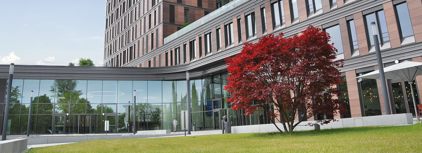 Frankfurt School of Finance and Management